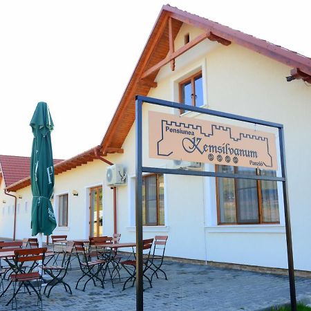 Pensiunea Kemsilvanum Fort Silvan Kémer Kültér fotó