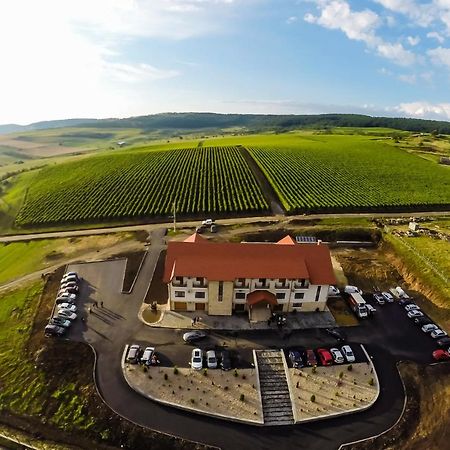 Pensiunea Kemsilvanum Fort Silvan Kémer Kültér fotó