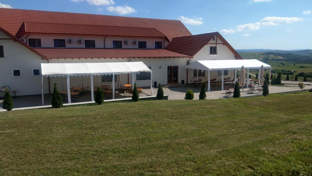 Pensiunea Kemsilvanum Fort Silvan Kémer Kültér fotó