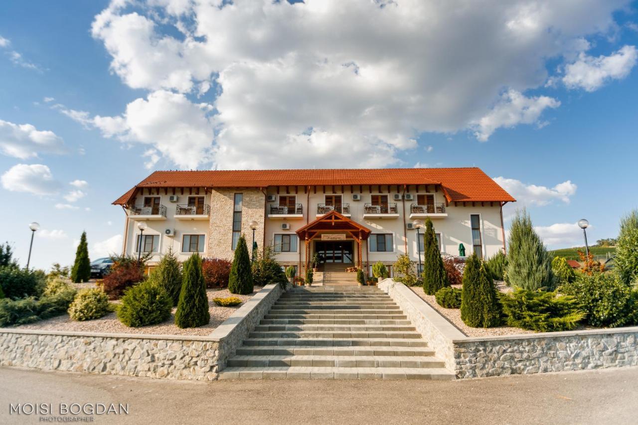 Pensiunea Kemsilvanum Fort Silvan Kémer Kültér fotó