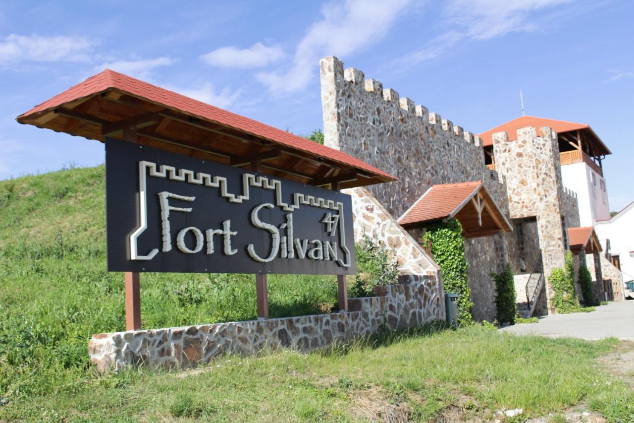 Pensiunea Kemsilvanum Fort Silvan Kémer Kültér fotó