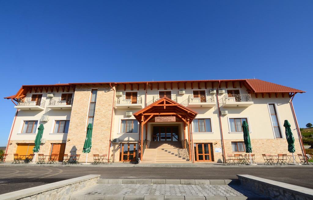 Pensiunea Kemsilvanum Fort Silvan Kémer Kültér fotó