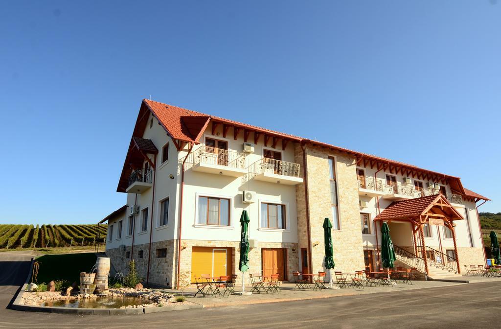 Pensiunea Kemsilvanum Fort Silvan Kémer Kültér fotó