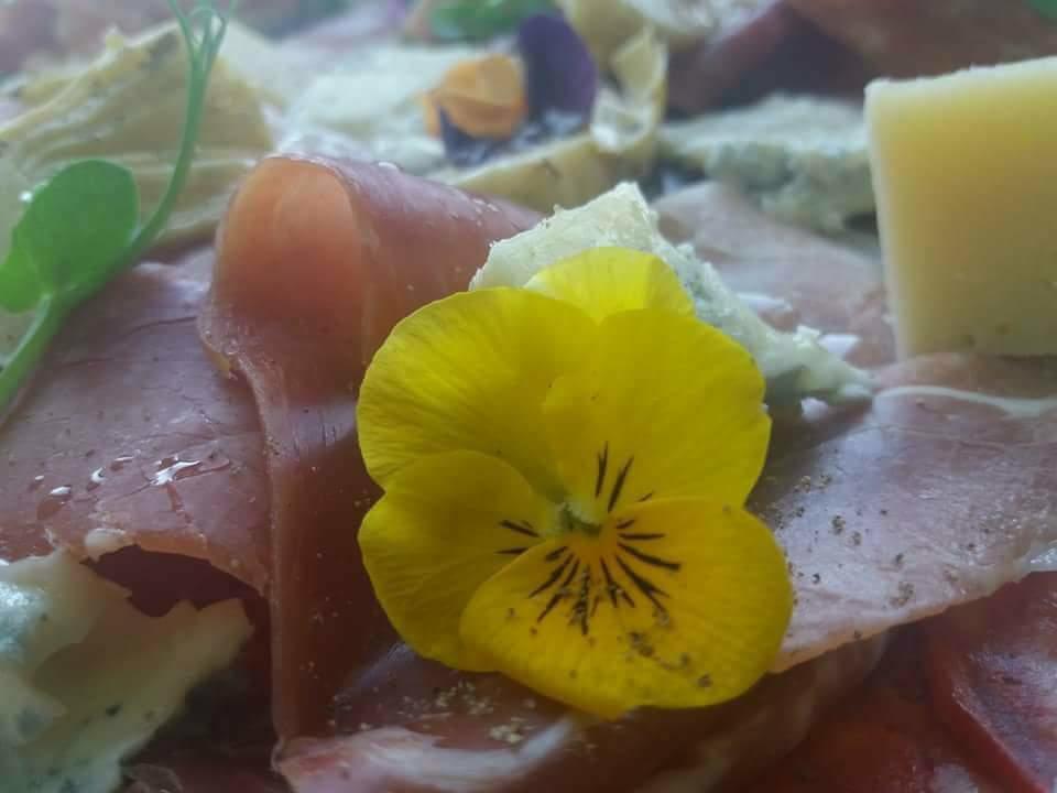 Pensiunea Kemsilvanum Fort Silvan Kémer Kültér fotó